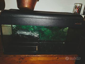 acquario 90 litri 