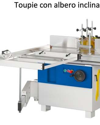 Toupie fresatrice per falegnameria Sicar CT100