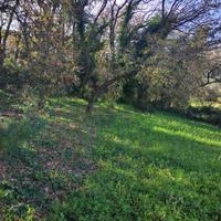 Terreno - Piazza Armerina