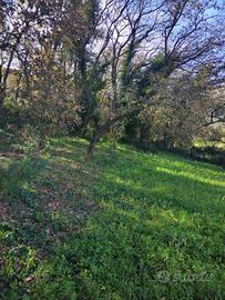 Terreno - Piazza Armerina