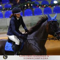 Cavallo Maremmano