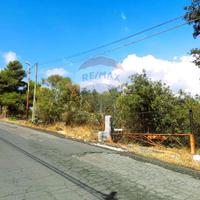 Terreno - Zafferana Etnea