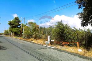 Terreno - Zafferana Etnea