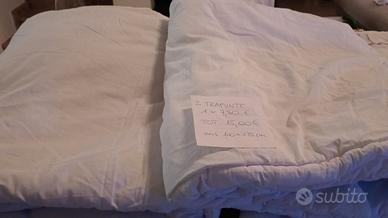 2 trapunte 100x135