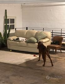 divano pelle beige 3 posti e 3 cuscini verdi lino