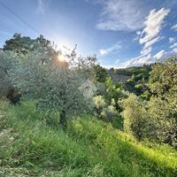 TER. AGRICOLO A PISTOIA