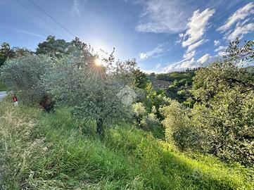 TER. AGRICOLO A PISTOIA