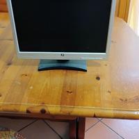 Monitor 17 Pollici