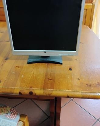Monitor 17 Pollici