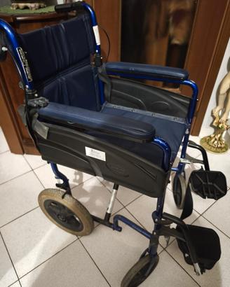 sedia a rotelle