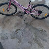 bici MTB donna misura 24  