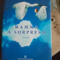 LIBRO MAMMA