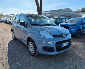 Fiat Panda 1.0 FireFly S&S Hybrid Easy