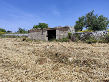 Terreno Agricolo con possibilità di nuova costruzi