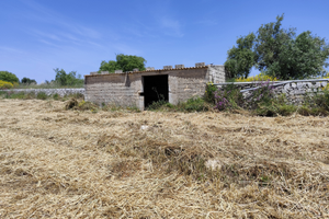 Terreno Agricolo con possibilità di nuova costruzi