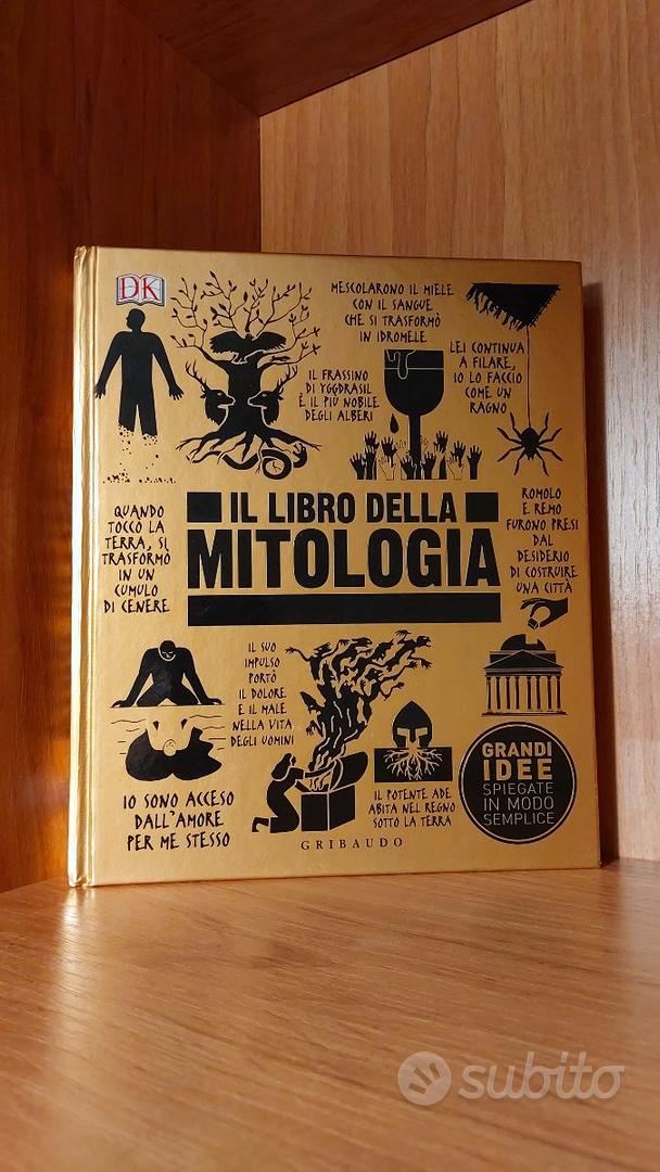 libro della storia. Grandi idee spiegate in modo semplice