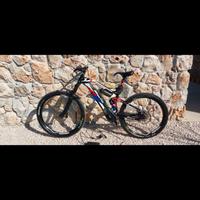 I-Bike