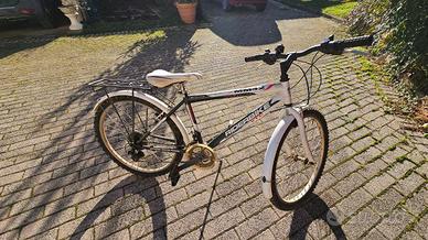 Mountain Bike Ragazzo Ruote 24"