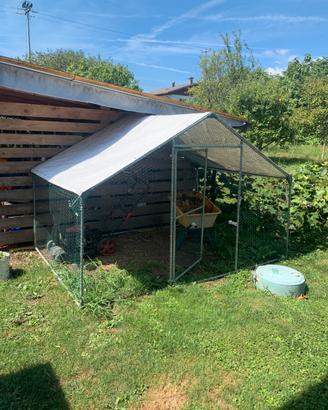 Gabbia per galline