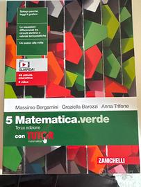 matematica verde 5