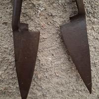 Antiche forbici cesoie per tosatura pecore XIX sec