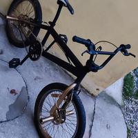 BMX Professionale