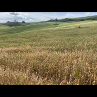 Terreno agricolo