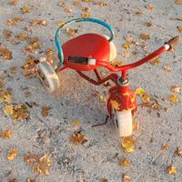 Triciclo Bambino/a Vintage in Metallo