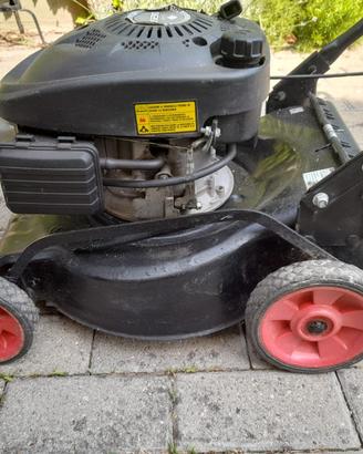 Tagliaerba tosaerba tagliabordi a motore