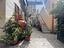 Immagine 10