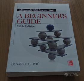 Microsoft SQL Server 2012 A Beginners Guide