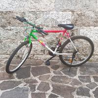 Mountain Bike La Fausto Coppi 