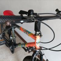 bicicletta 