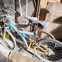 bici classiche marcianti