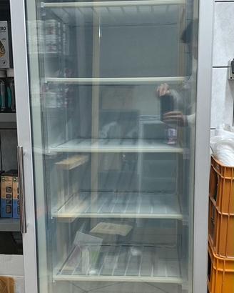 Armadio refrigerato eco stat -18° - 22°