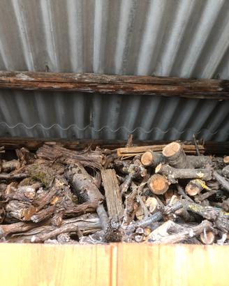 Legna da ardere ( da campo)