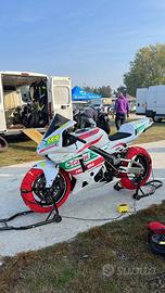 Honda cbr 600 rr pista