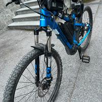 Ebike HAIBIKE LUINORA
