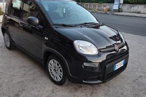 fiat panda 2023 benzina ybrid  km 60000