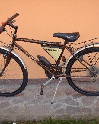 Mountain bike