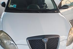 lancia y Momo desing