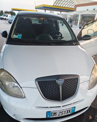 lancia y Momo desing