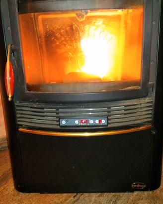 Stufa a pellet ecologica Extraflame Nordica