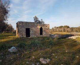 Terreno edificabile uliveto/vigneto