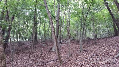 Rif.RT385B_1| terreno agricolo volpago del montel