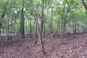 Rif.RT385B_1| terreno agricolo volpago del montel