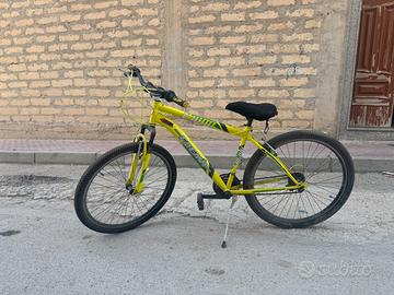 Bicicletta FAEMA