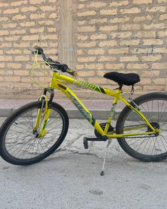 Bicicletta FAEMA