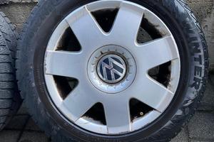 Gomme  invernali  polo