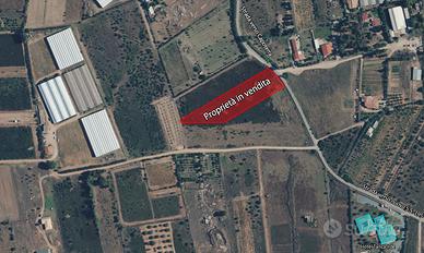 Terreno agricolo a Capoterra, loc. "Fra giuanni"